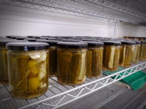 Pickle Cottage jars without labels on shelves during the canning process.